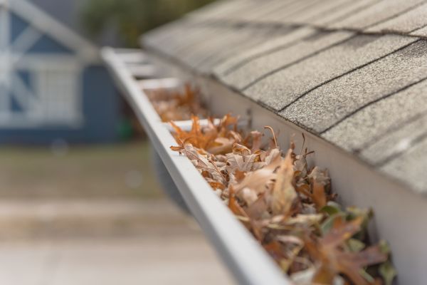 Leaf Barrier Installation in Marion